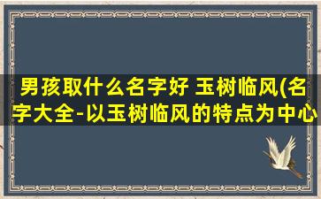 男孩取什么名字好 玉树临风(名字大全-以玉树临风的特点为中心的男孩取名推荐。)